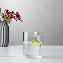 Juno Set of 2 Glasses by NUDE USA