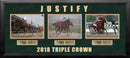 Mike Smith & Justify 2018 Triple Crown Winner Framed and Matted Horse Racing Collage by Dynasty Sports & Framing