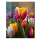 Colorful Tulip Bouquet Glass Wall Art – Vibrant Spring Floral UV Print-KAFCD049