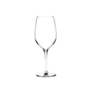 Terroir Set of 2 Polyvalent Glasses by NUDE USA