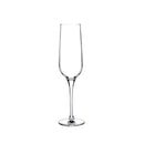 Refine Set of 2 Champagne Glasses by NUDE USA