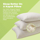 Kapok Sleep Bed Pillows with 100% Organic Cotton Fabric - Plant Based Vegan Organic by Bean Products