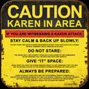 RELEASE THE KRAKEN / KAREN SWITCH PANEL