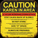 RELEASE THE KRAKEN / KAREN SWITCH PANEL by Concord Aerospace