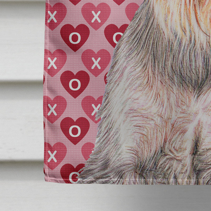 Hearts Love and Valentine's Day Schnauzer Flag Canvas House Size KJ1193CHF