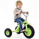 Kids Carbon Steel Bike with 15-Inch Inflatable Tires