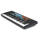 Kids Piano Keyboard 49 Keys Portable Electric Keyboard Piano with 8 Rhythms 8 Tones by LJGDeals