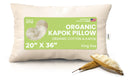 Kapok Sleep Bed Pillows with 100% Organic Cotton Fabric - Plant Based Vegan Organic by Bean Products