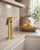 Kitchen Unlacquered Brass Hand Sprayer by Palmeraies
