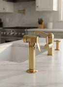 Kitchen Unlacquered Brass Hand Sprayer by Palmeraies