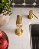 Kitchen Unlacquered Brass Hand Sprayer by Palmeraies