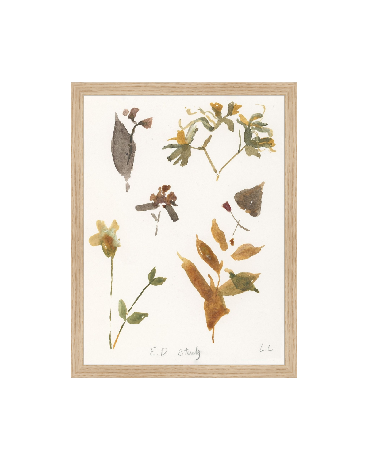 E.D Botanical Study, photo 28 of 34