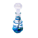 Valentine’s Day Romantic Marimo Moss Balls 2PCS Set Glass Bottle Aquarium With Lid Love Plants for Beginners for Couples