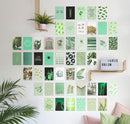 Sage green collection