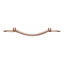 Cat Wall Bridge and Shelf Set