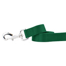 Kelly Green Nylon Dog Leash