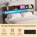 Queen LED Bed Frame with Power Outlets and Storage Headboard by LJGDeals