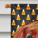 Irish Setter Candy Corn Halloween Portrait House Flag 28x40 Porch Sleeve Pole Decorative Outside Yard Banner Artwork Wall Hanging, Polyester