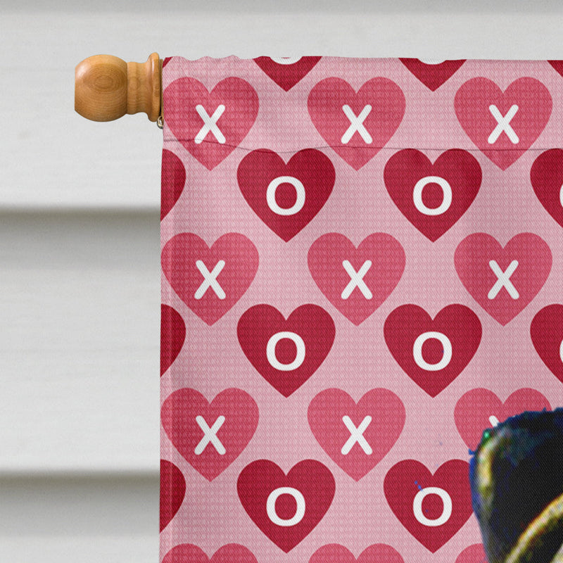 Pug Hearts Love and Valentine's Day Portrait Flag Canvas House Size