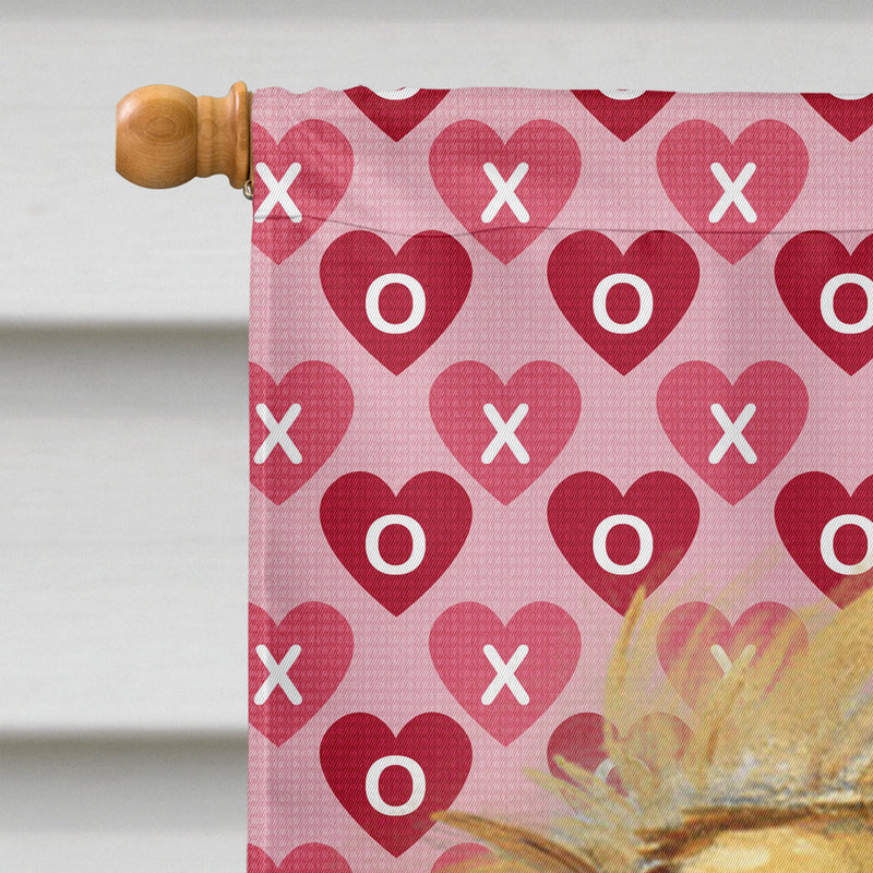 Tibetan Spaniel Hearts Love and Valentine's Day Portrait Flag Canvas House Size