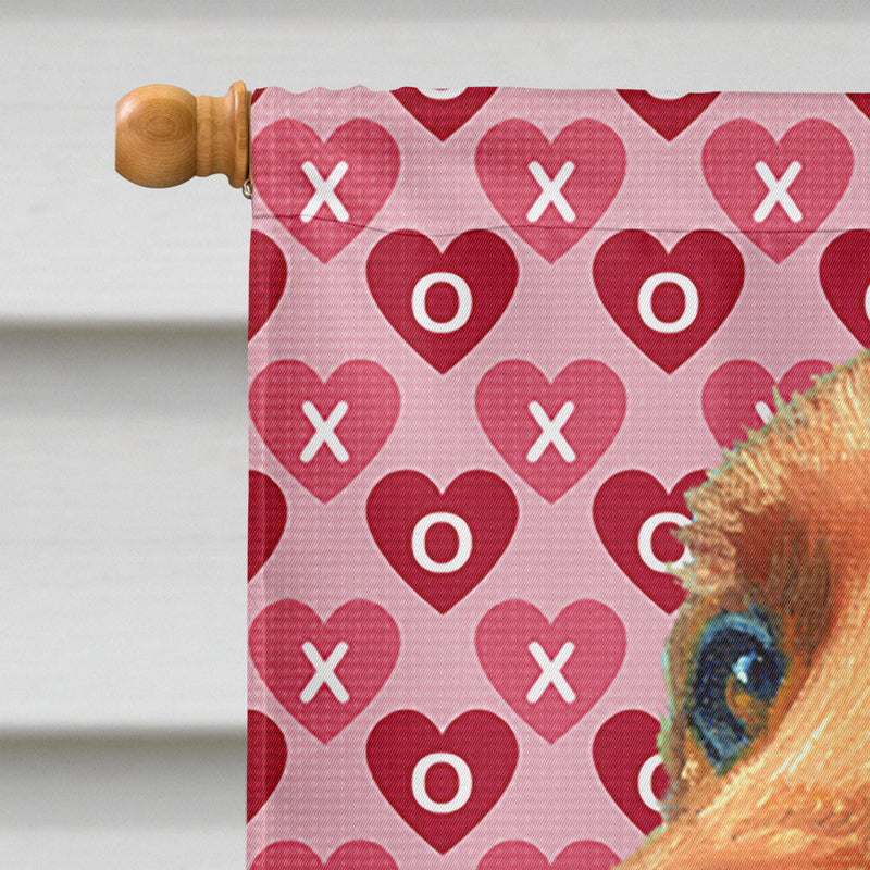Irish Setter Hearts Love and Valentine's Day Flag Canvas House Size LH9562CHF