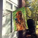 Irish Setter St. Patrick's Day Shamrock House Flag 28x40 Porch Sleeve Pole Decorative Outside Yard Banner Artwork Wall Hanging, Polyester