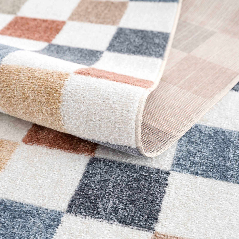 Alie Colorful Checkered Washable Rug