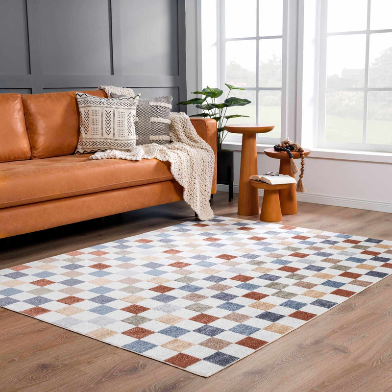 Alie Colorful Checkered Washable Rug