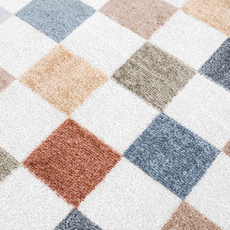 Alie Colorful Checkered Washable Rug