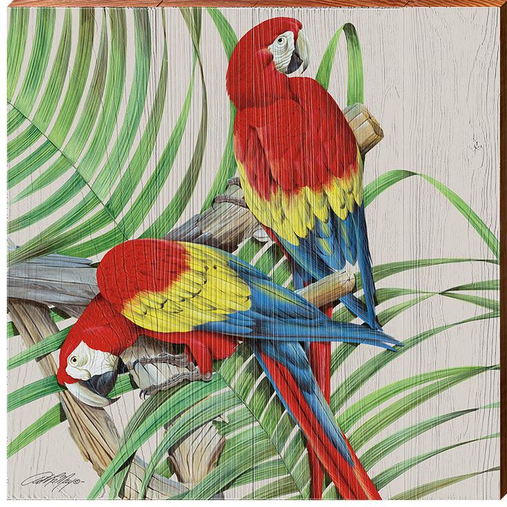 Art Lamay | Parrots 2 | Wall Art Print on Real Wood