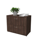 2 Drawer Lateral File Cabinet