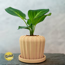Lunar Bloom Plant Pot