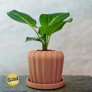 Lunar Bloom Plant Pot