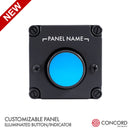LUNAR CONTACT INDICATOR PANEL - LM