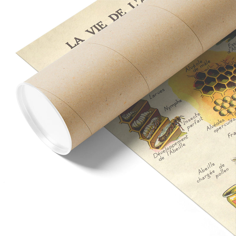"La Vie De L'Abeille" (The Life of the Bee) Matte Poster