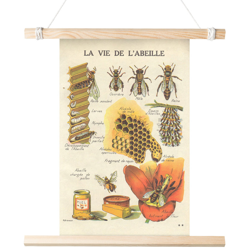 "La Vie De L'Abeille" (The Life of the Bee) Matte Poster