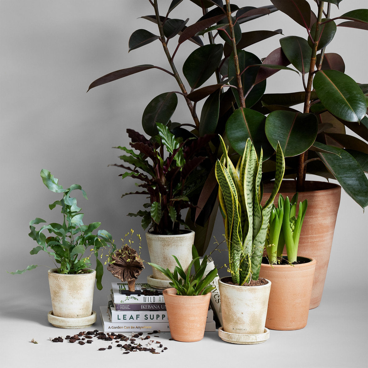 Terracotta Studio Planter, Whitewash, photo 4 of 14