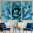 Large Agave Succulent Canvas Wall Art | Botanical Close-Up