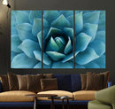 Large Agave Succulent Canvas Wall Art | Botanical Close-Up