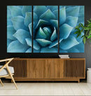 Large Agave Succulent Canvas Wall Art | Botanical Close-Up