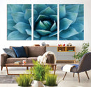 Large Agave Succulent Canvas Wall Art | Botanical Close-Up