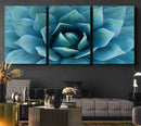 Large Agave Succulent Canvas Wall Art | Botanical Close-Up