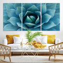 Large Agave Succulent Canvas Wall Art | Botanical Close-Up