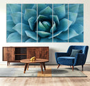 Large Agave Succulent Canvas Wall Art | Botanical Close-Up