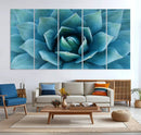 Large Agave Succulent Canvas Wall Art | Botanical Close-Up
