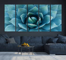 Large Agave Succulent Canvas Wall Art | Botanical Close-Up