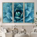 Large Agave Succulent Canvas Wall Art | Botanical Close-Up