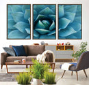 Large Agave Succulent Canvas Wall Art | Botanical Close-Up