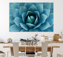 Large Agave Succulent Canvas Wall Art | Botanical Close-Up