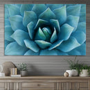 Large Agave Succulent Canvas Wall Art | Botanical Close-Up